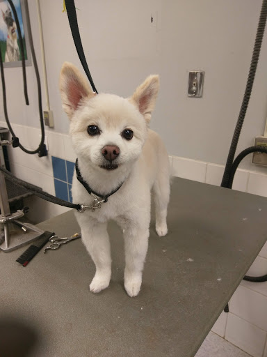 Pet Supply Store «Petco Animal Supplies», reviews and photos, 4012 W 27th Ave, Kennewick, WA 99337, USA