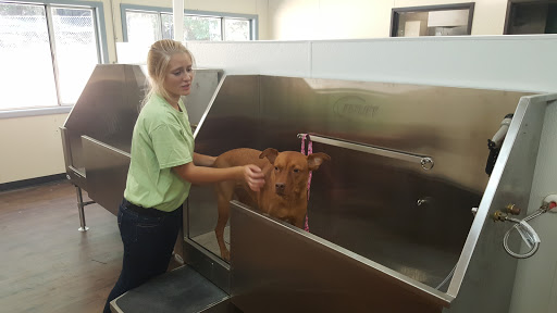 Pet Groomer «U Dirty Dog», reviews and photos, 232 Stevens Entry, Peachtree City, GA 30269, USA