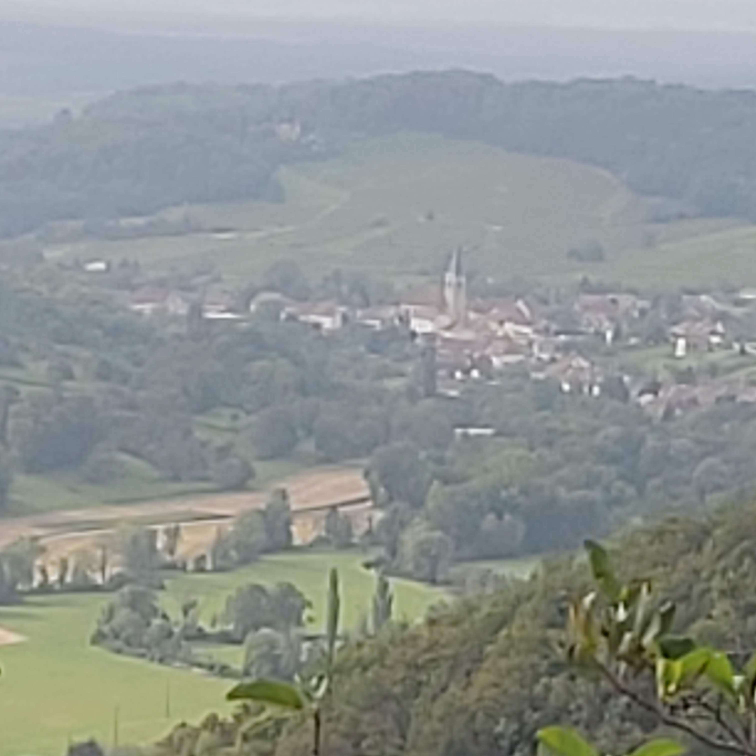 Photo n° 1 de l'avis de Serge.r fait le 17/08/2021 à 16:40