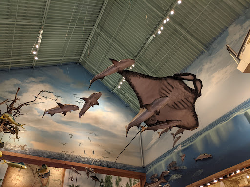 Sporting Goods Store «Bass Pro Shops», reviews and photos, 10501 Palm River Rd, Tampa, FL 33619, USA