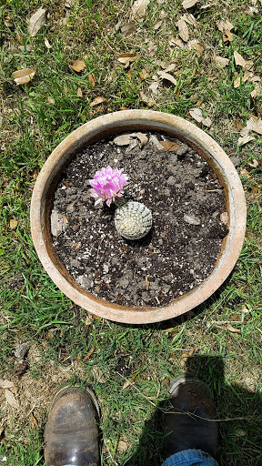 Park «Government Canyon State Natural Area», reviews and photos, 12861 Galm Rd, San Antonio, TX 78254, USA