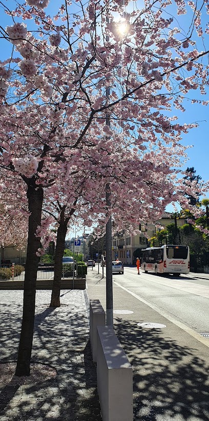 Lugano, Via Zurigo