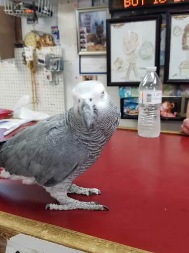 Pet Supply Store «Animal House», reviews and photos, 1509 S Black Horse Pike, Williamstown, NJ 08094, USA