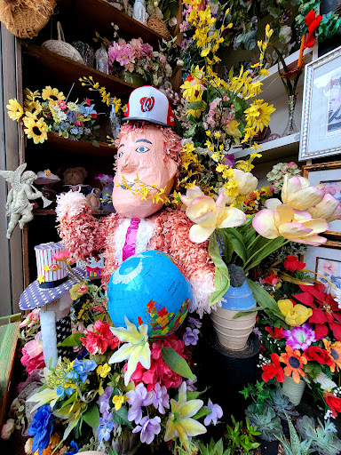 Florist «Caruso Florist», reviews and photos, 1717 M St NW, Washington, DC 20036, USA