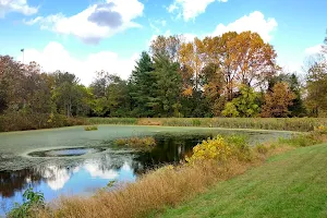 Olney Manor Recreational Park image