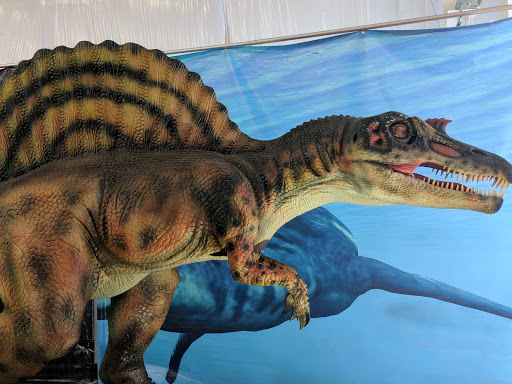 Fairground «The Evergreen State Fairgrounds», reviews and photos, 14405 179th Ave SE, Monroe, WA 98272, USA