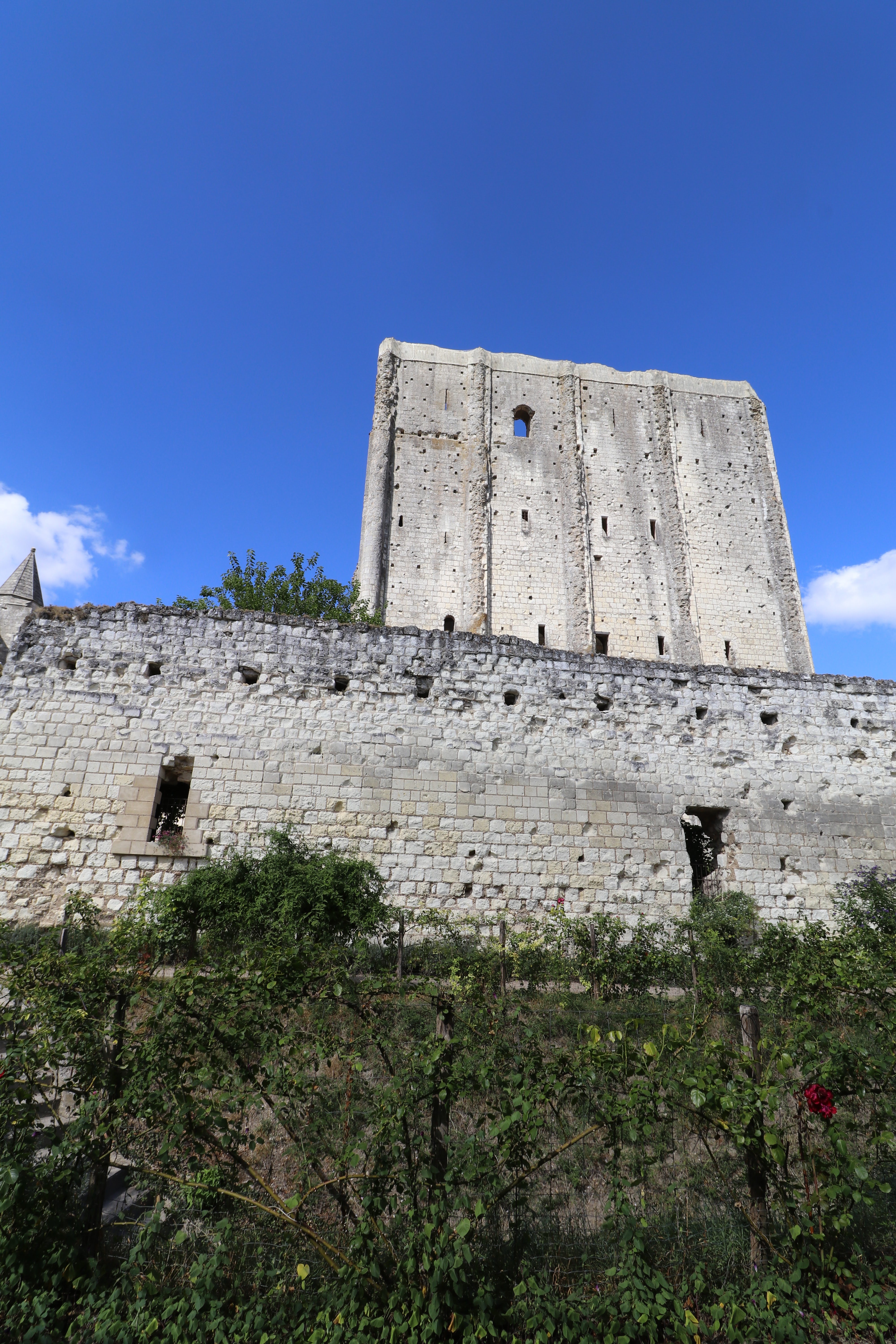 Photo n° 4 de l'avis de Patrice.e fait le 26/08/2022 à 17:49