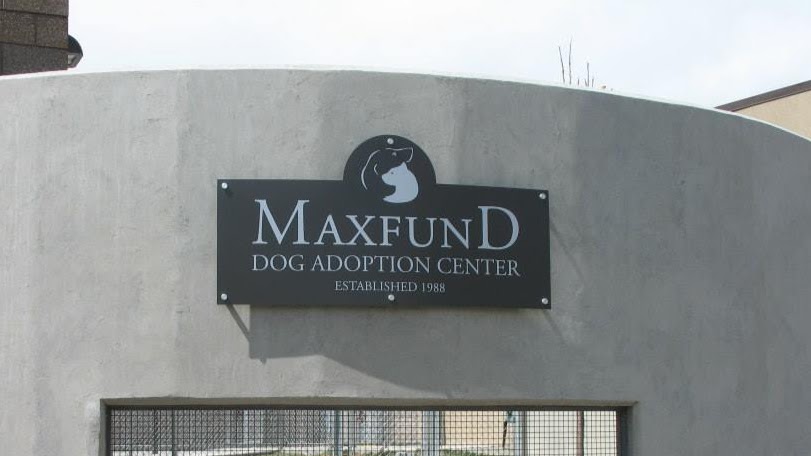 MaxFund Animal Adoption Center