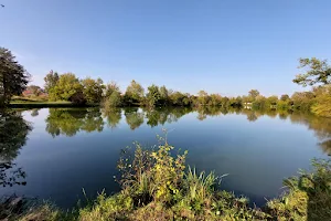 Bedekovčanska jezera image