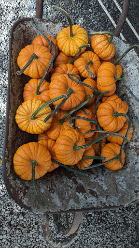 Florist «Vanlierop Garden Market Ltd», reviews and photos, 1020 Ryan Ave, Sumner, WA 98390, USA