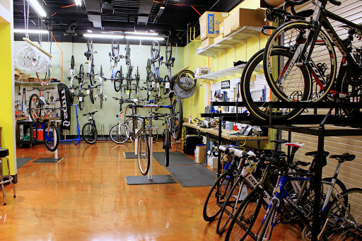 Bicycle Store «Outspokin Bicycles - Tampa», reviews and photos, 3300 S Dale Mabry Hwy, Tampa, FL 33629, USA