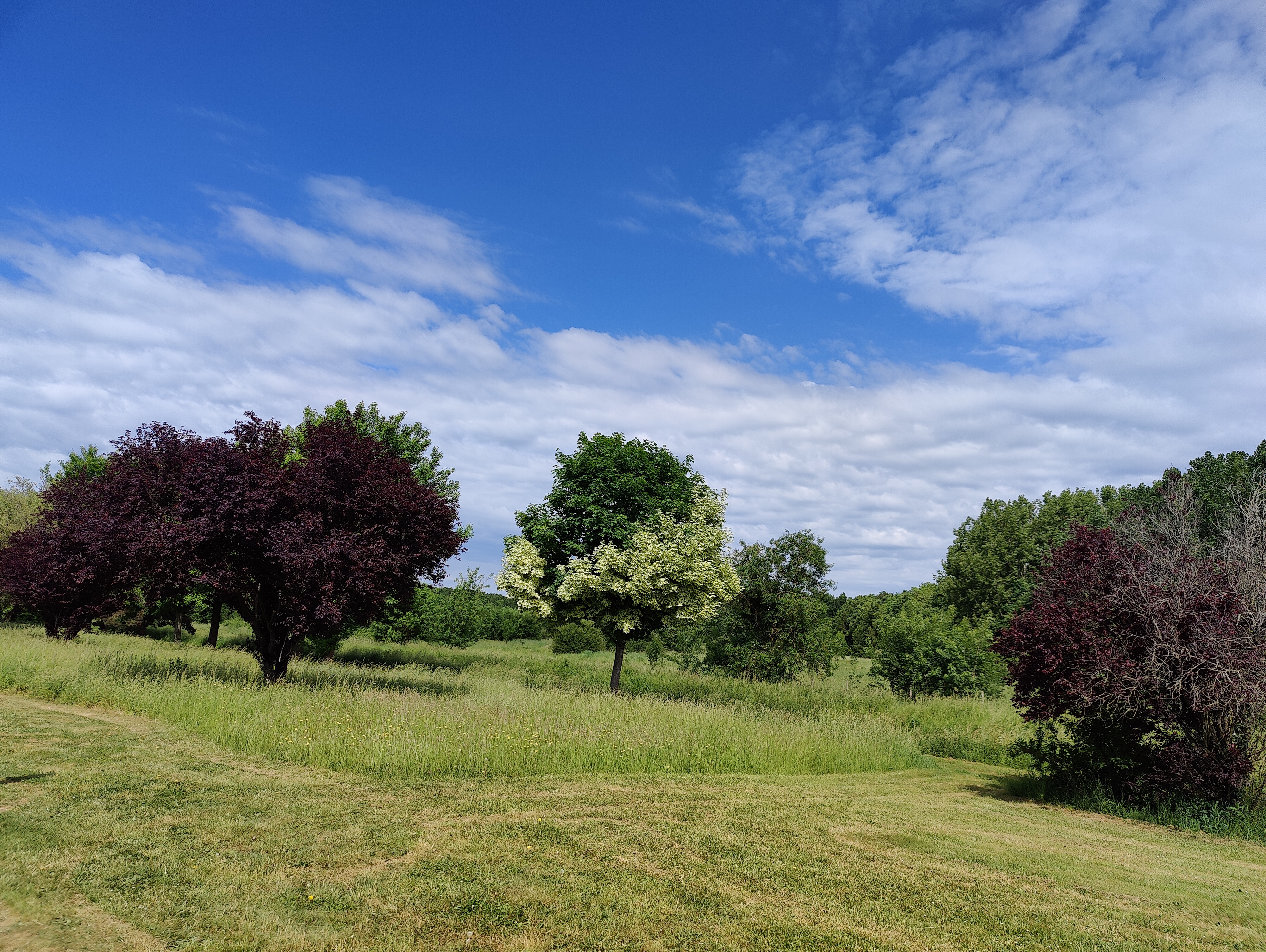 Photo n° 1 de l'avis de Éric.e fait le 18/05/2022 à 19:16