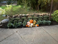 Me and My Diddy - Photo 5 - Car repair in Indianapolis, IN, Indianapolis