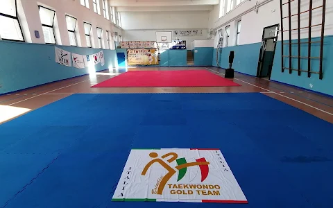 Taekwondo Gold Team Brindisi image