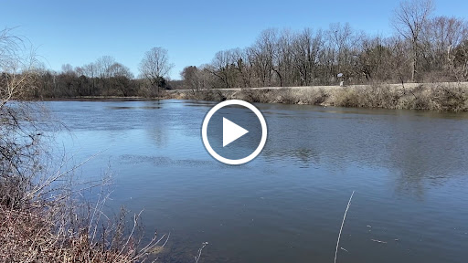 Nature Preserve «Scio Woods Preserve», reviews and photos, Scio Church Rd, Ann Arbor, MI 48103, USA