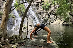Yoga in The Tropics image