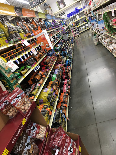 Pet Supply Store «PetSmart», reviews and photos, 13764 W Bell Rd, Surprise, AZ 85374, USA