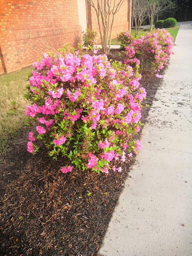 Supermarket «ALDI», reviews and photos, 3665 Vandora Springs Rd, Fort Mill, SC 29708, USA