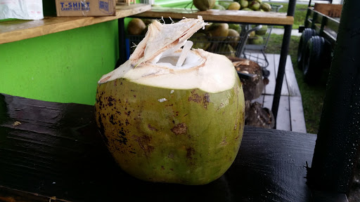 Shopping Mall «Riverview Oaks Shopping Center», reviews and photos, 9620 US-301, Riverview, FL 33578, USA