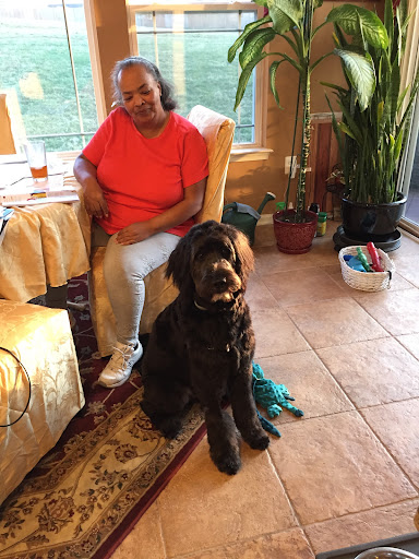 Insurance Agency «Embrace Pet Insurance», reviews and photos