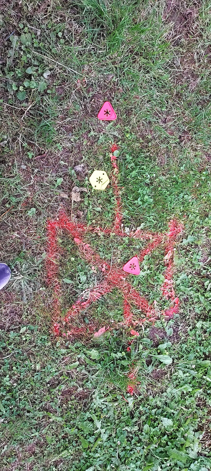 Photo n° 6 de l'avis de Mathieu.M fait le 29/06/2022 à 17:39