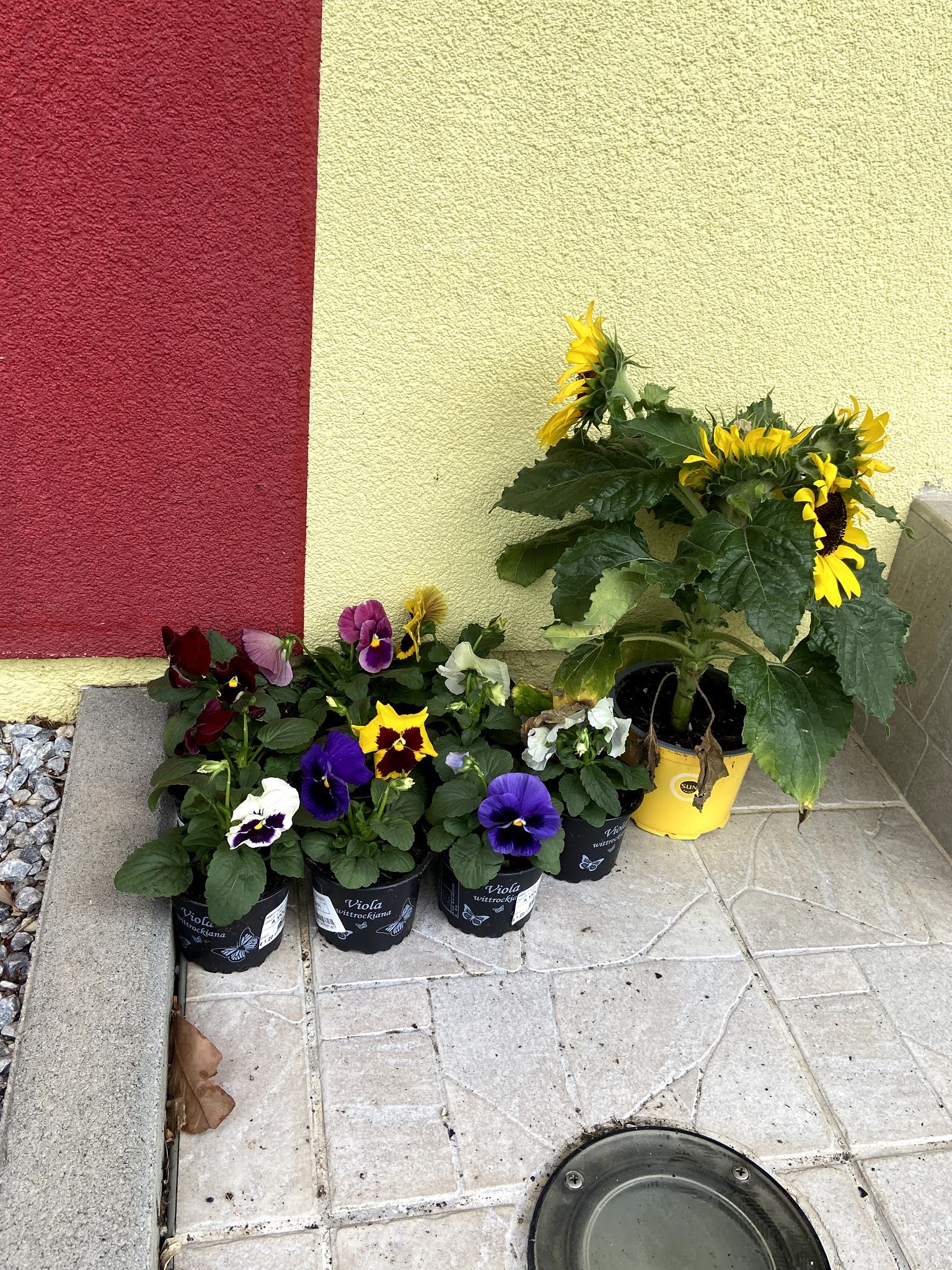 Photo n° 4 de l'avis de Tom.h fait le 15/08/2020 à 07:48