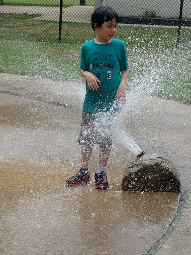 Park «Pasteur Park», reviews and photos, 5825 S Kostner Ave, Chicago, IL 60629, USA