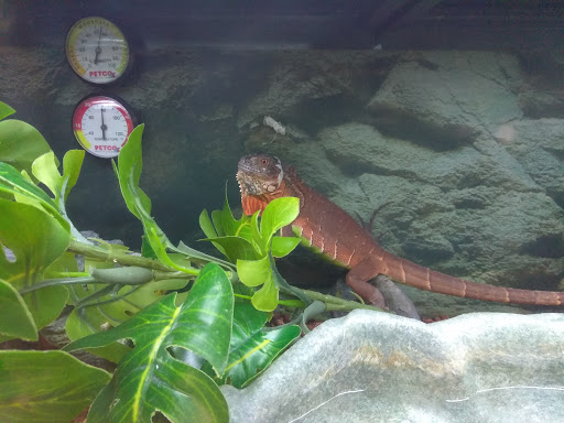 Pet Supply Store «Petco Animal Supplies», reviews and photos, 891 NE D St, Grants Pass, OR 97526, USA