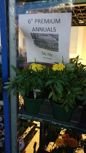 Supermarket «Key Food», reviews and photos, 153-55 Cross Island Pkwy, Whitestone, NY 11357, USA