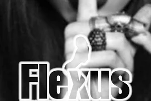 flexus night club image