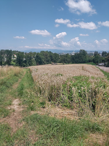 Kommentare und Rezensionen über Allschwil, Dorf