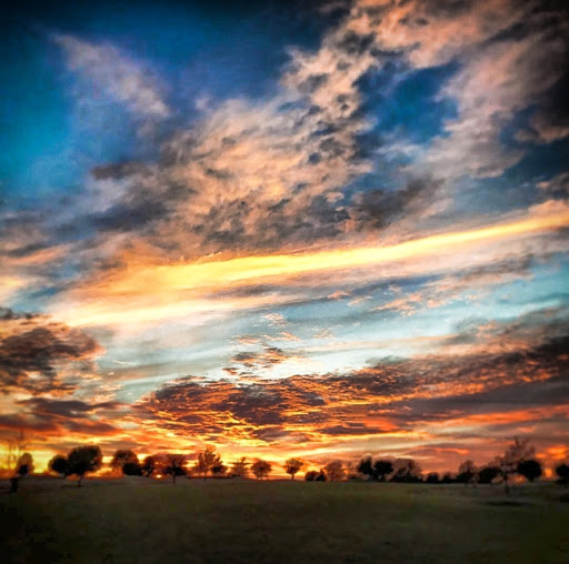 Golf Course «Oak Hollow Golf Course», reviews and photos, 3005 N McDonald St, McKinney, TX 75071, USA