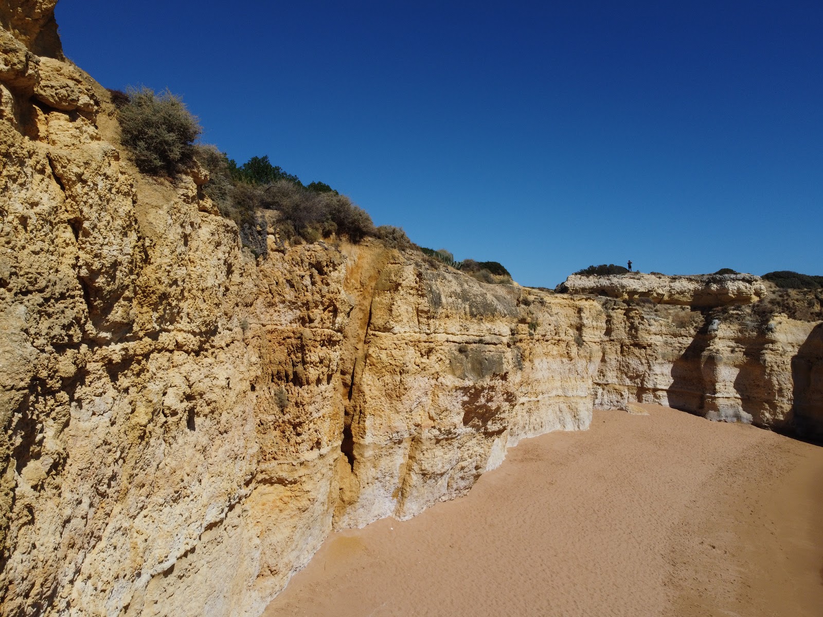 Foto van Praia da Ponta Grande wilde omgeving