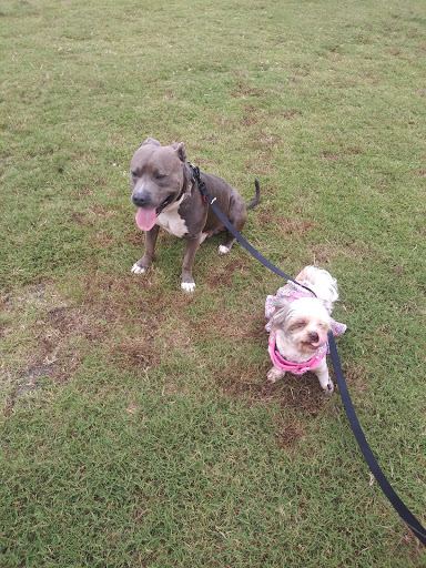 Memorial Park «Memorial Park», reviews and photos, 1620 Riverside Ave, Jacksonville, FL 32204, USA