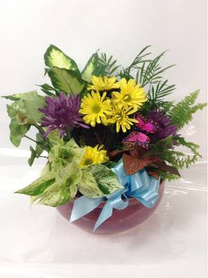 Florist «Ashland Addison Florist», reviews and photos, 3118 N Lincoln Ave, Chicago, IL 60613, USA