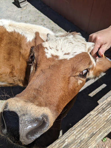 Retreat Center «Refreshing Mountain Retreat and Adventure Center», reviews and photos, 455 Camp Rd, Stevens, PA 17578, USA