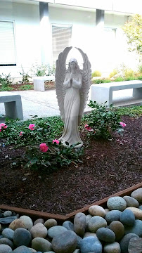 Emanuel Medical Center : Emergency Room - Photo 9 - Car repair in Turlock, CA, Merced