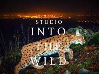 Studio Into The Wild @ GEX