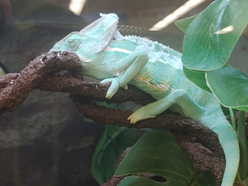 Pet Supply Store «Petco Animal Supplies», reviews and photos, 10383 Reisterstown Rd, Owings Mills, MD 21117, USA