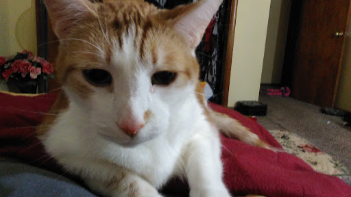 Pet Supply Store «Natural Pet Center», reviews and photos, 3037 13th Ave S, Fargo, ND 58103, USA