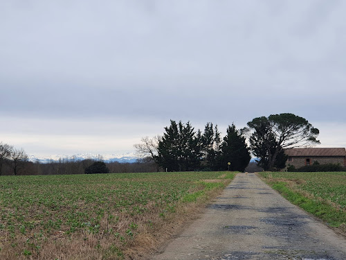 Centre équestre Silver Lake Farm Cazères-sur-l'Adour