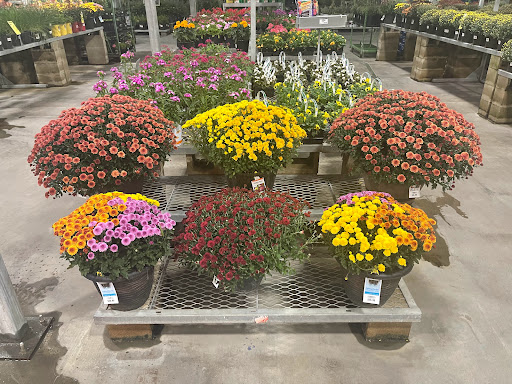 Home Improvement Store «The Home Depot», reviews and photos, 2551 S Interstate Hwy 35, Round Rock, TX 78664, USA