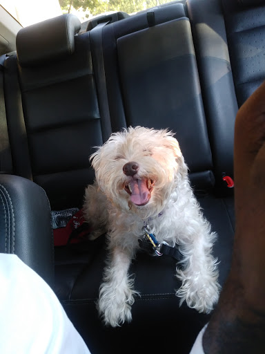 Pet Supply Store «Pet Supplies Plus», reviews and photos, 1704 Greenville Ave, Dallas, TX 75206, USA