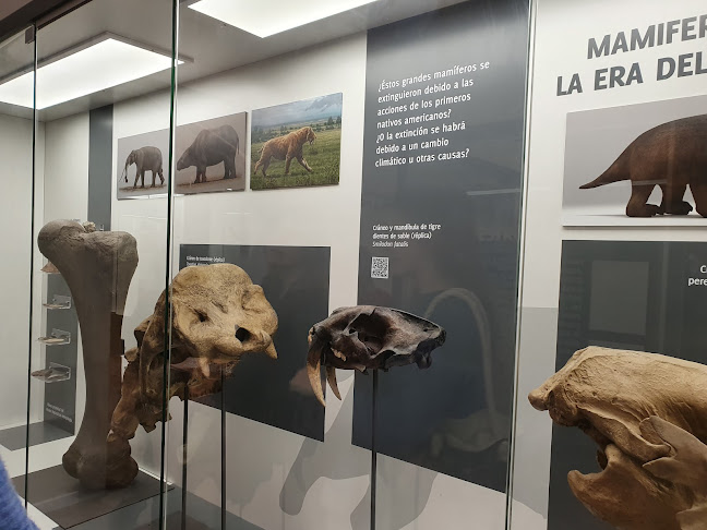 Museo Nacional de Historia Natural - Museo