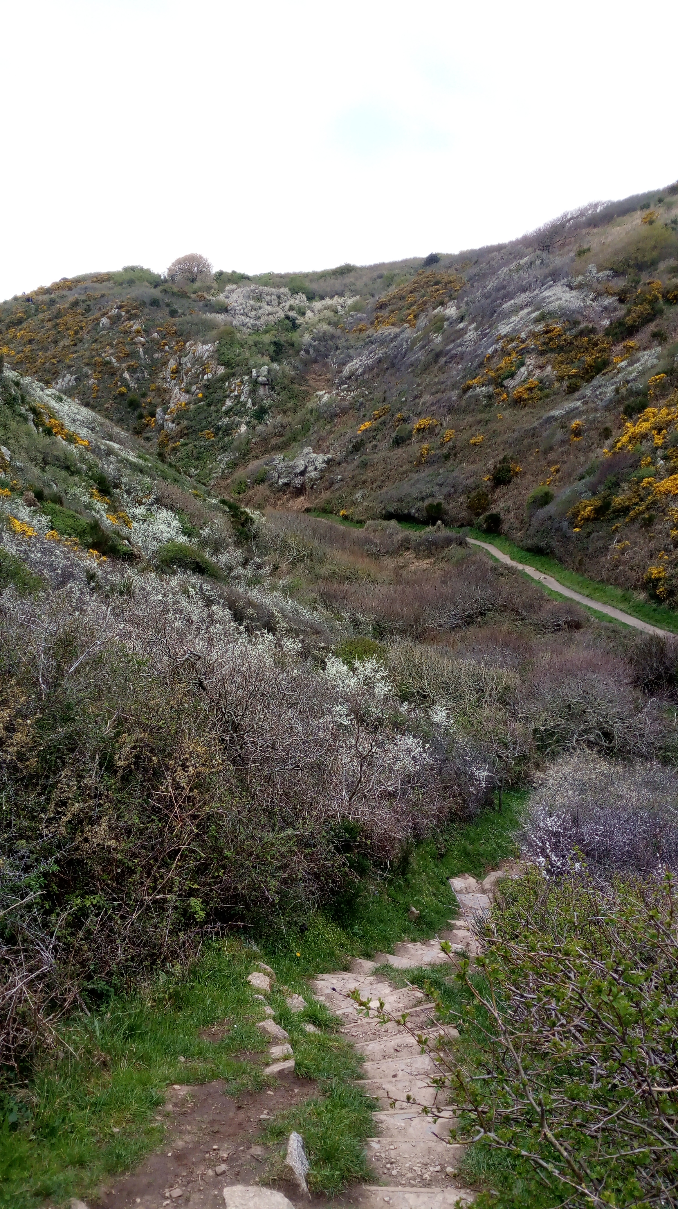 Photo n° 2 de l'avis de Nathalie.r fait le 17/04/2019 à 17:11