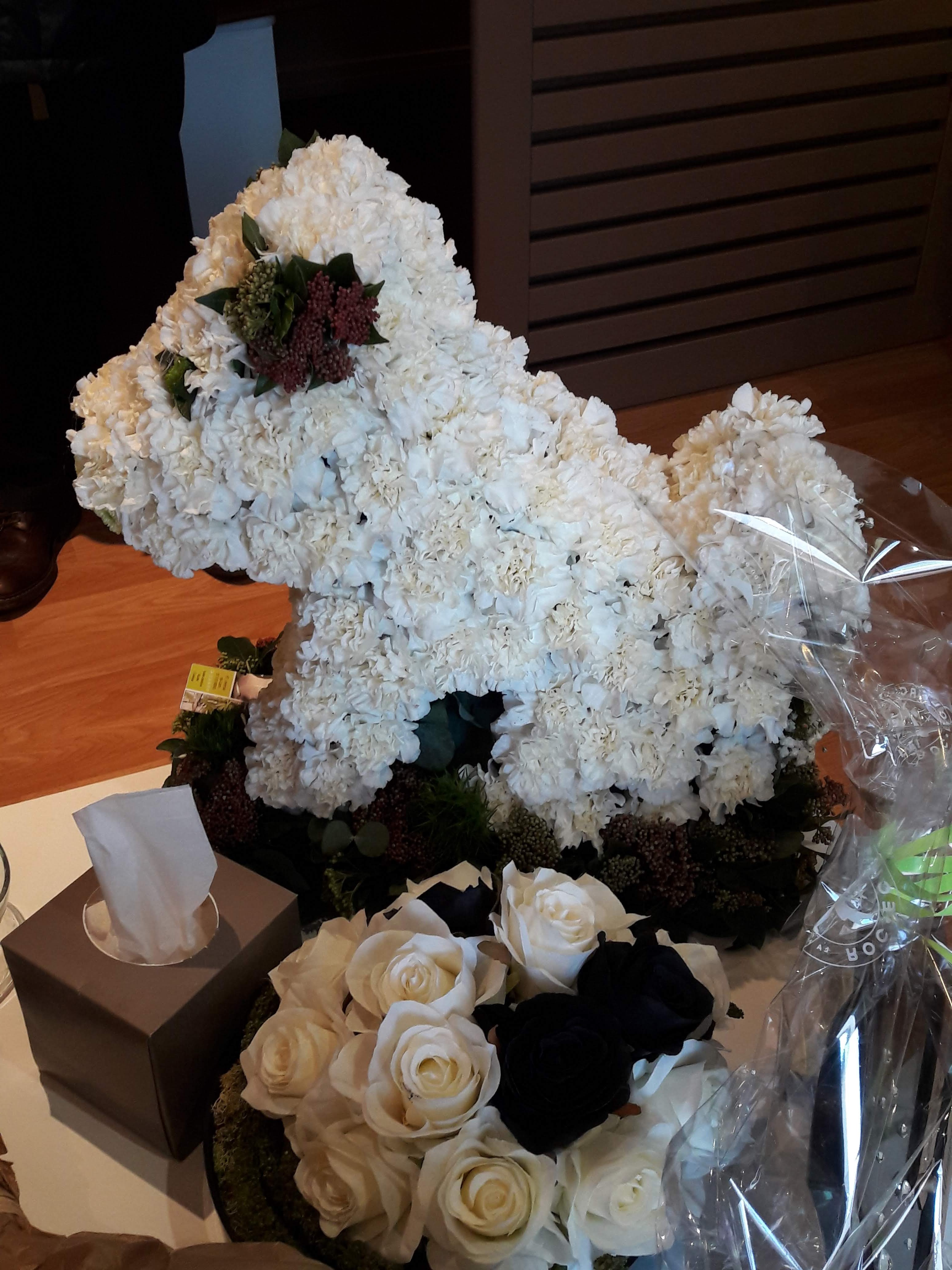 Photo n° 2 de l'avis de Céline. fait le 14/02/2019 à 12:36