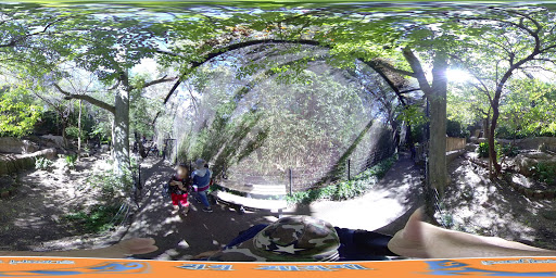 Transit Stop «Dallas Zoo Station», reviews and photos, 614 S. Ewing Avenue, Dallas, TX 75203, USA