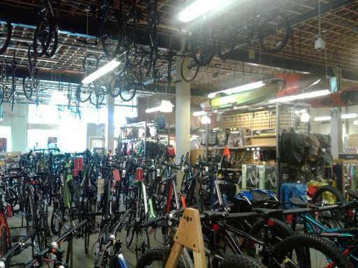 Camping Store «REI», reviews and photos, 3509 Carlin Springs Rd, Falls Church, VA 22041, USA