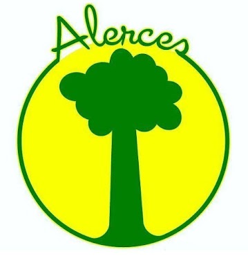 Alerces Spanish Preschool & Kindergarten
