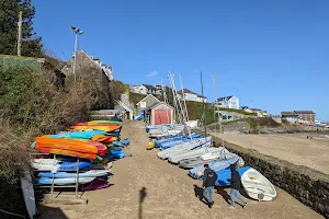 Cardigan Bay Marine Wildlife Centre image